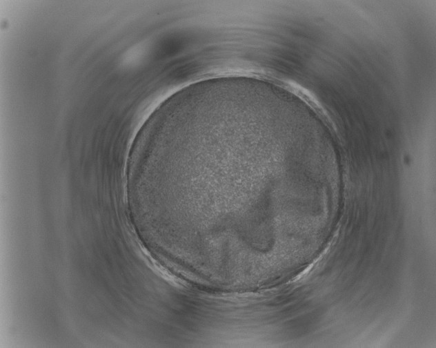 X0000073751236200608241339