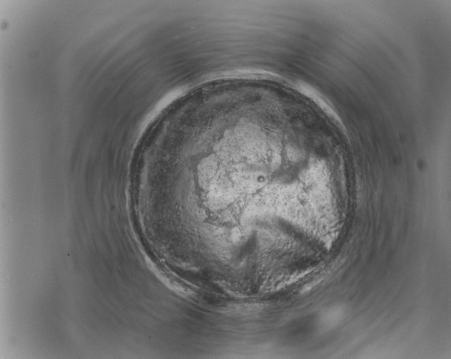 X0000073751237200608241339