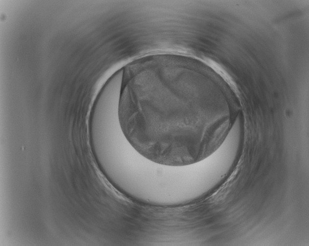 X0000073751238200608241339