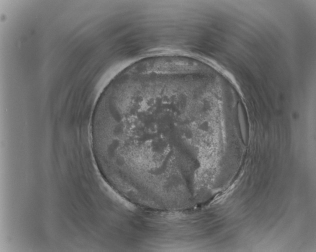 X0000073751239200608241339