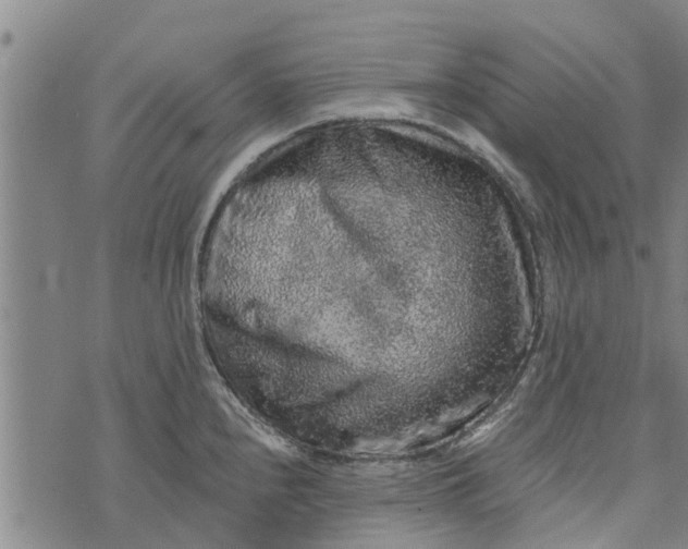 X0000073751240200608241339