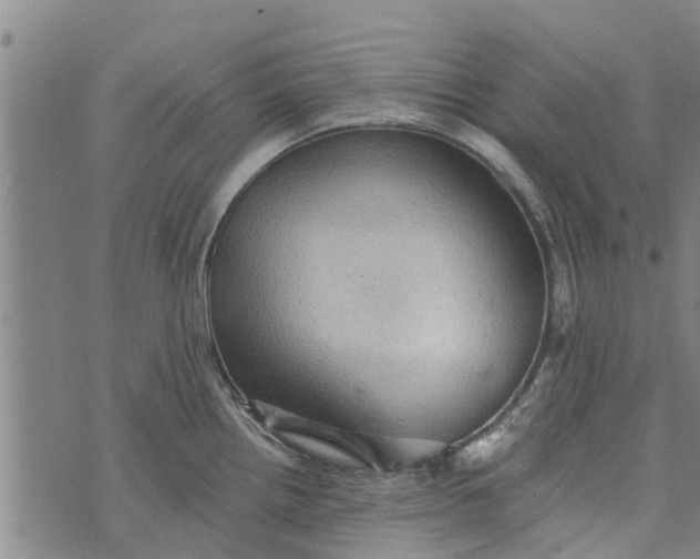 X0000073751242200608241339