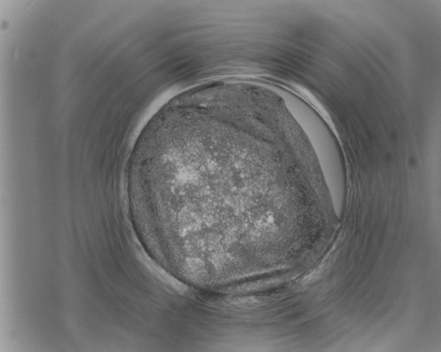 X0000073751243200608241339