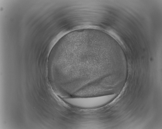 X0000073751244200608241339