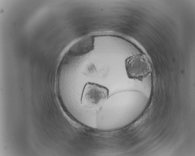 X0000073751245200608241339