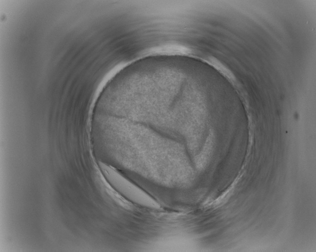 X0000073751248200608241339