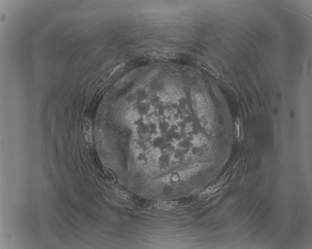 X0000073751251200608241338