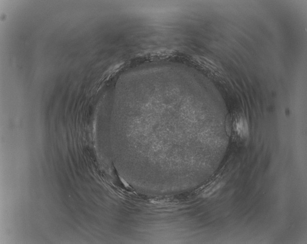 X0000073751252200608241338