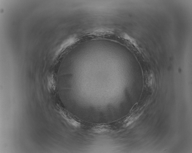 X0000073751253200608241338