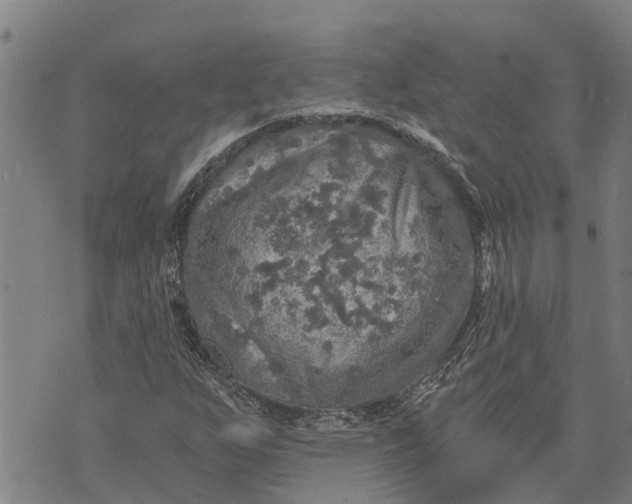 X0000073751255200608241338