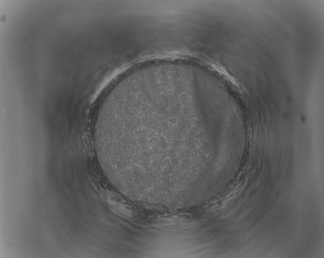 X0000073751256200608241338