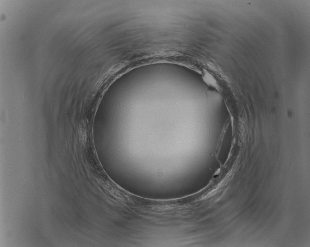 X0000073751257200608241338