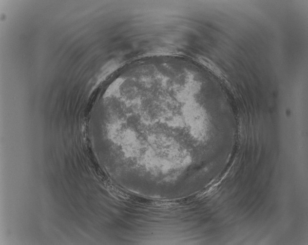 X0000073751258200608241338