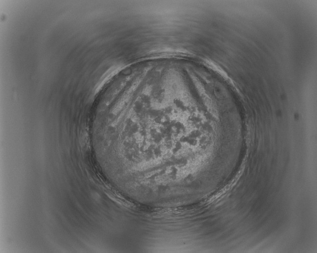 X0000073751259200608241338