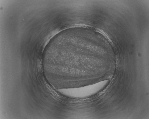 X0000073751260200608241338