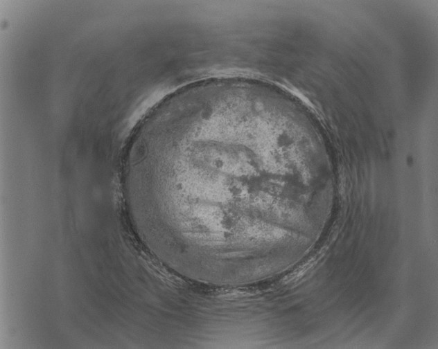 X0000073751263200608241338