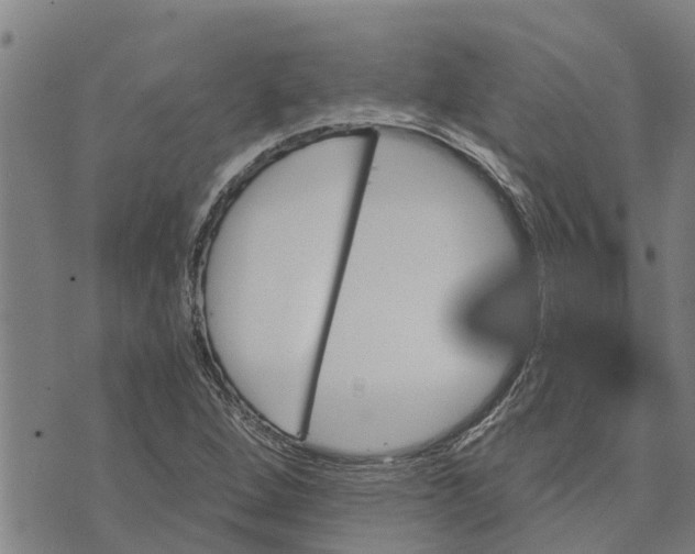 X0000073751264200608241338