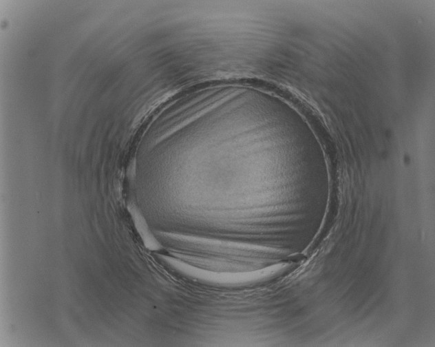 X0000073751265200608241338