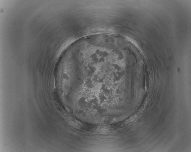 X0000073751267200608241338