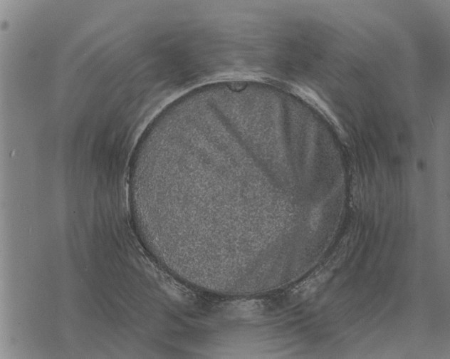 X0000073751268200608241338