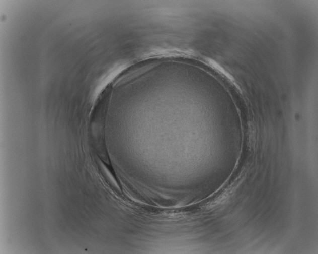 X0000073751269200608241338