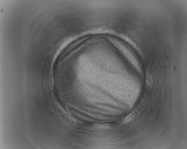 X0000073751270200608241338