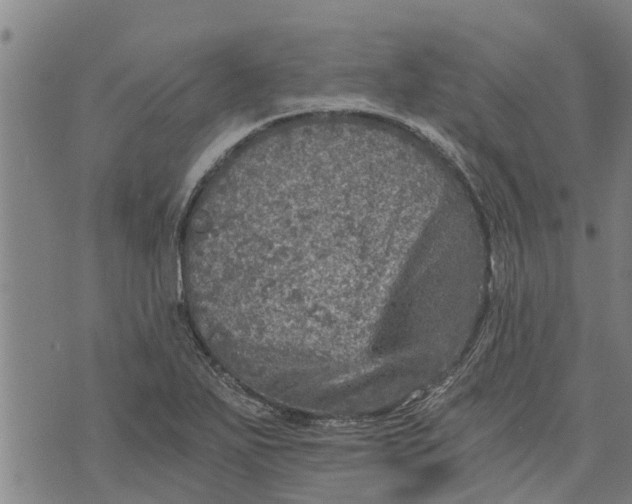 X0000073751271200608241338