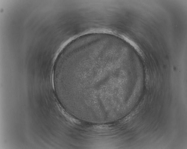 X0000073751272200608241338