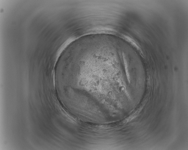 X0000073751275200608241338