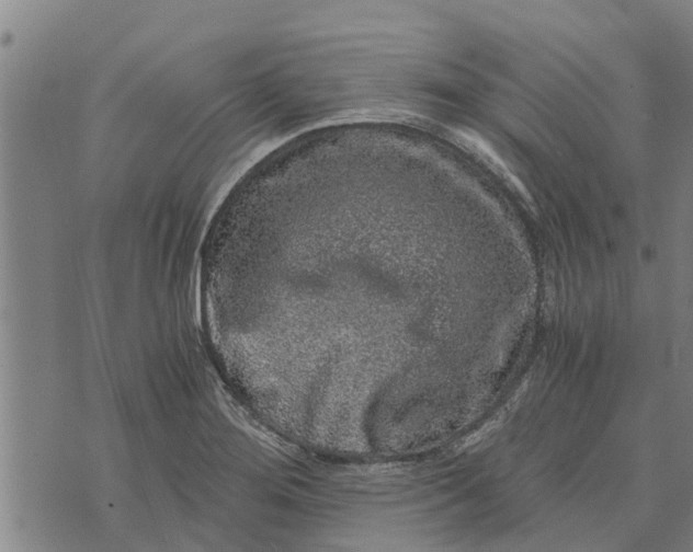 X0000073751276200608241338