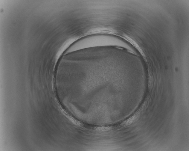 X0000073751277200608241338