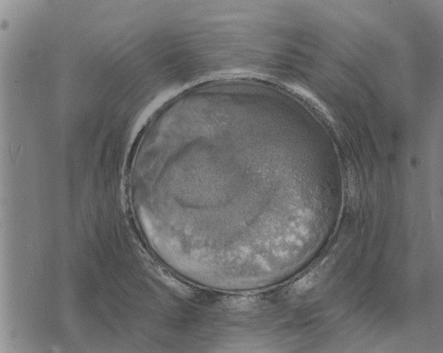 X0000073751278200608241338