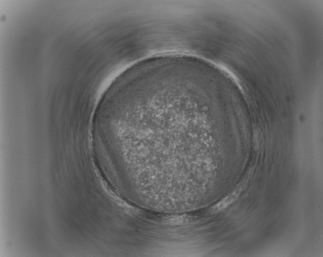 X0000073751279200608241338