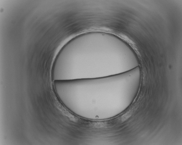 X0000073751280200608241338