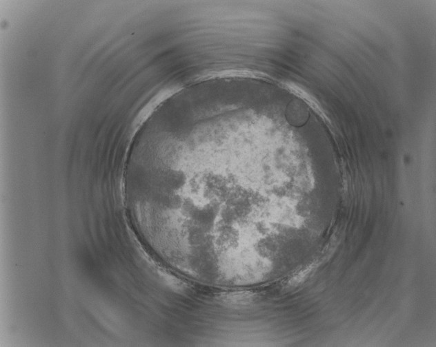 X0000073751282200608241338