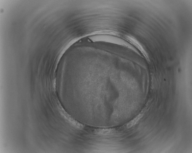 X0000073751284200608241338