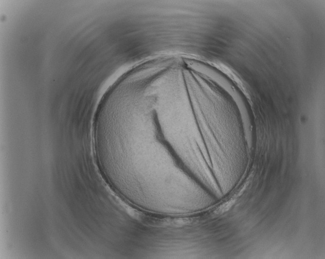 X0000073751286200608241338