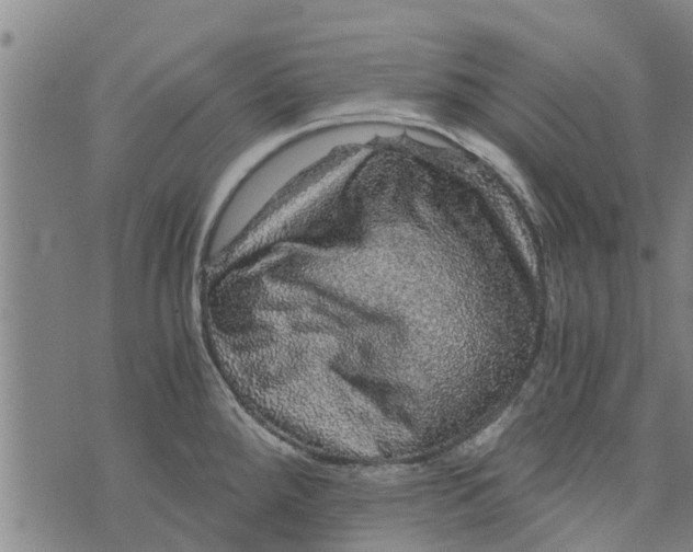 X0000073751288200608241338