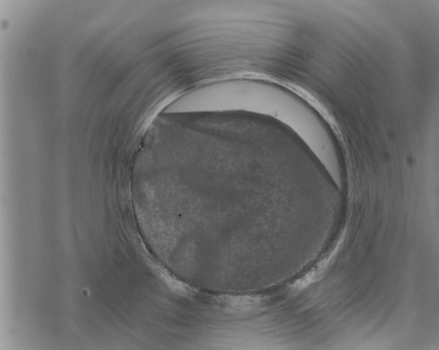 X0000073751289200608241338