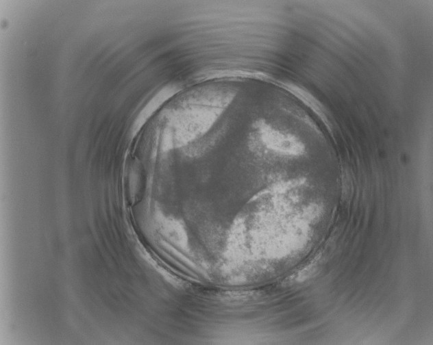 X0000073751290200608241338