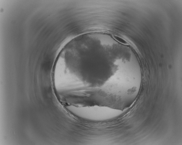 X0000073751291200608241338