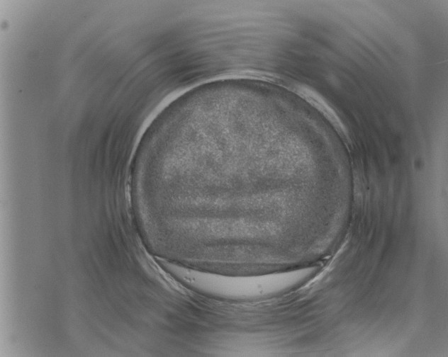 X0000073751292200608241338