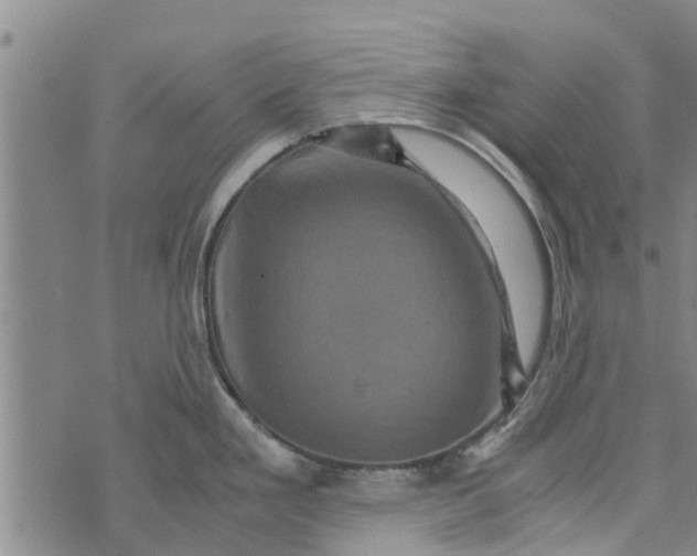 X0000073751293200608241338