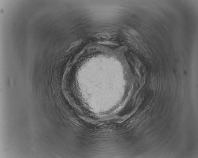 X0000073751297200608241337