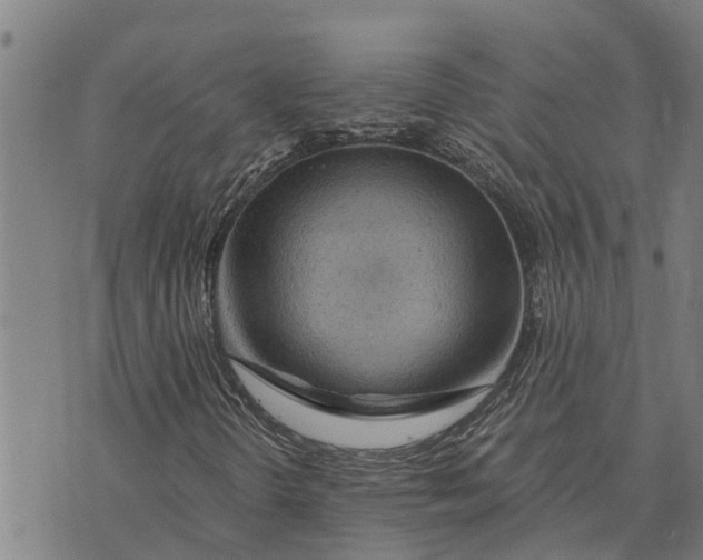 X0000073751298200608241337