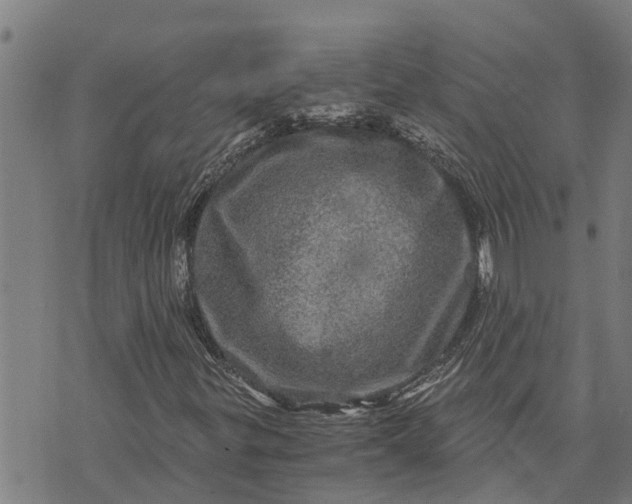 X0000073751299200608241337