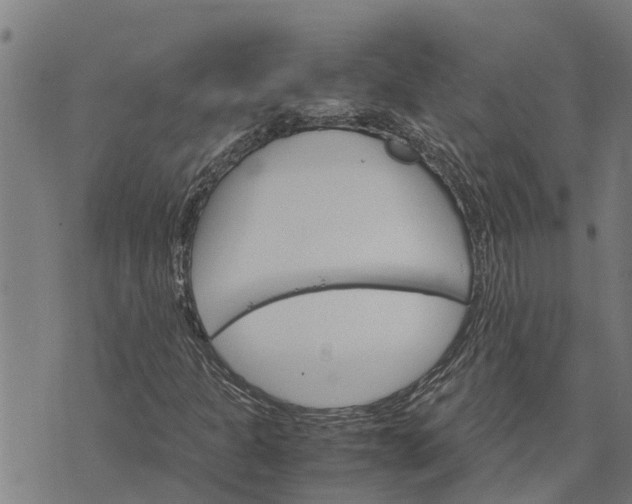 X0000073751301200608241337