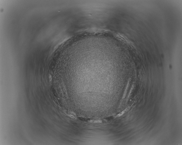 X0000073751302200608241337