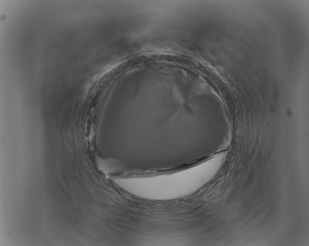 X0000073751303200608241337