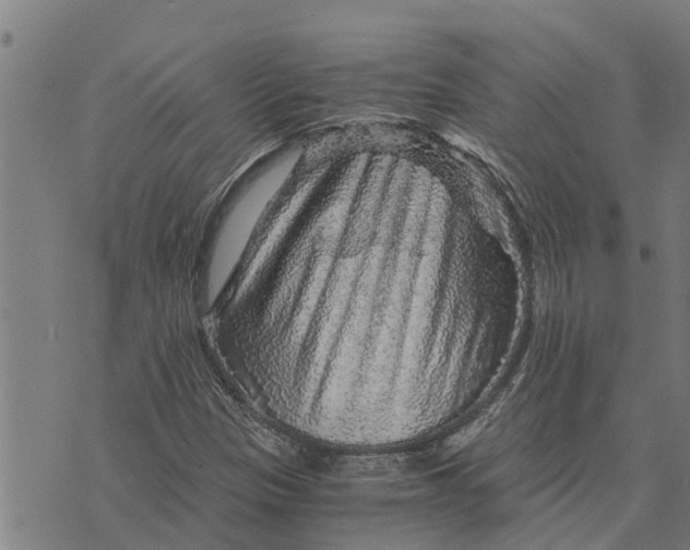 X0000073751305200608241337